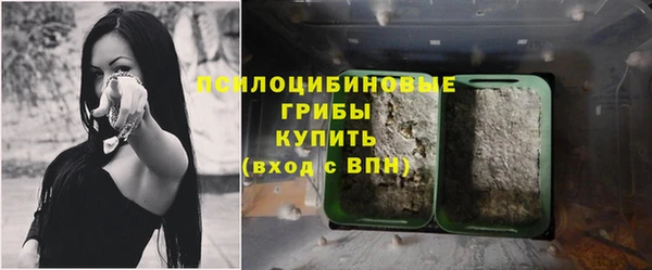mdpv Балахна
